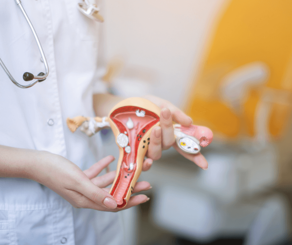 miral Ginecologia roma